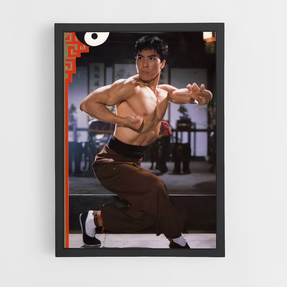 Poster Bruce Wong's Kung Fu (vue 2)